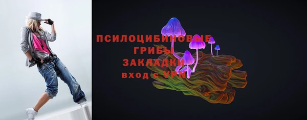 дмт Нязепетровск