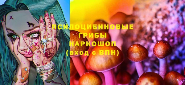 ешки Няндома