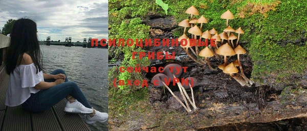 дмт Нязепетровск