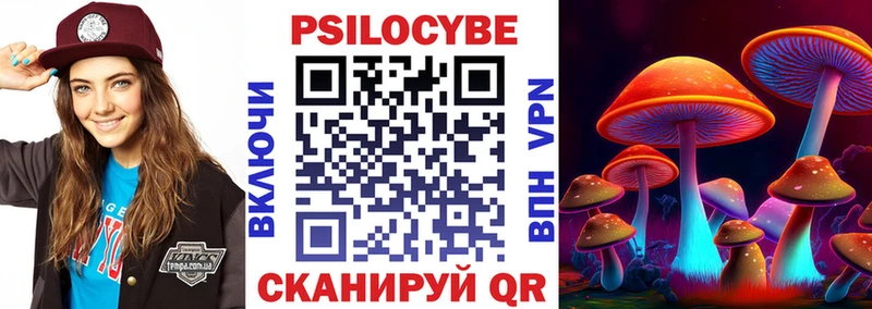Галлюциногенные грибы Psilocybine cubensis Злынка